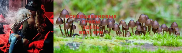 MDMA Белоозёрский