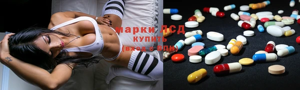 ПСИЛОЦИБИНОВЫЕ ГРИБЫ Беломорск