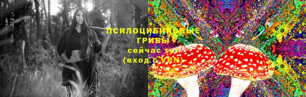 ПСИЛОЦИБИНОВЫЕ ГРИБЫ Беломорск