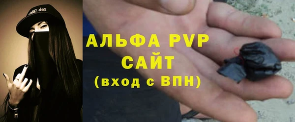 a pvp Белокуриха