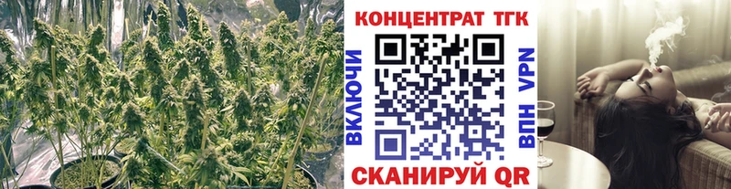 купить наркотик  Верхоянск  ТГК THC oil 