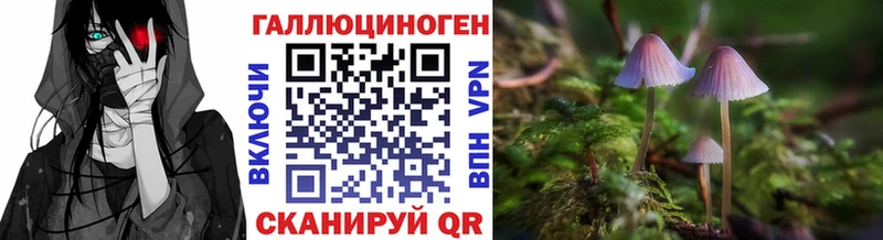 Псилоцибиновые грибы Cubensis  Верхоянск 